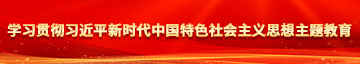 美女干屄免费学习贯彻习近平新时代中国特色社会主义思想主题教育